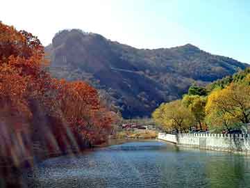 管家婆黑白马报图库，富康论坛